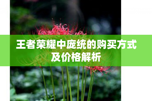 王者荣耀中庞统的购买方式及价格解析 王者荣耀中庞统的购买方式及价格解析