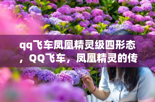 qq飞车凤凰精灵级四形态，QQ飞车，凤凰精灵的传奇之旅