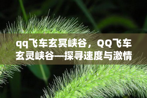 qq飞车玄冥峡谷,QQ飞车玄灵峡谷—探寻速度与激情的极致挑战 qq飞车玄冥峡谷,QQ飞车玄灵峡谷—探寻速度与激情的极致挑战