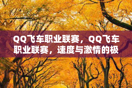QQ飞车职业联赛,QQ飞车职业联赛,速度与激情的极致展现 QQ飞车职业联赛,QQ飞车职业联赛,速度与激情的极致展现