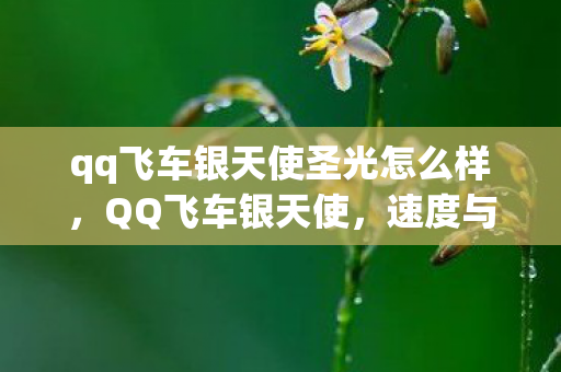 qq飞车银天使圣光怎么样，QQ飞车银天使，速度与激情的完美融合