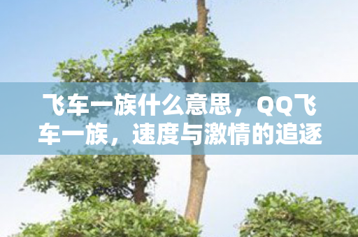 飞车一族什么意思，QQ飞车一族，速度与激情的追逐者