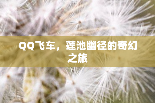 QQ飞车，莲池幽径的奇幻之旅