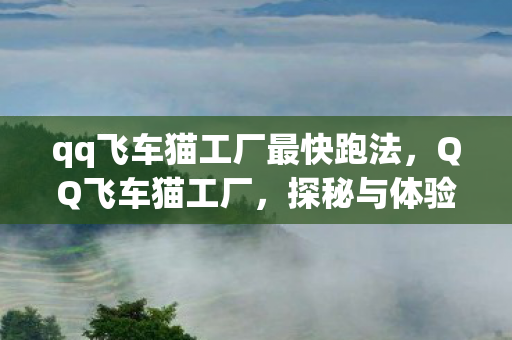 qq飞车猫工厂最快跑法,QQ飞车猫工厂,探秘与体验 qq飞车猫工厂最快跑法,QQ飞车猫工厂,探秘与体验