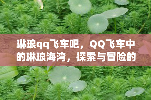 琳琅qq飞车吧,QQ飞车中的琳琅海湾,探索与冒险的乐园 琳琅qq飞车吧,QQ飞车中的琳琅海湾,探索与冒险的乐园