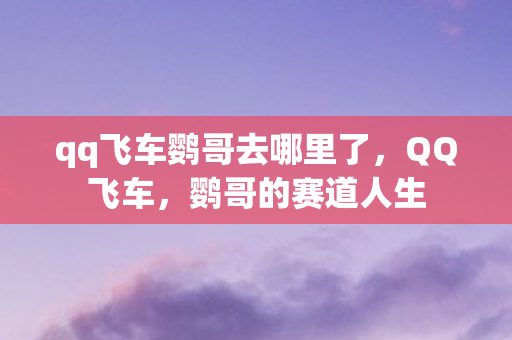 qq飞车鹦哥去哪里了,QQ飞车,鹦哥的赛道人生 qq飞车鹦哥去哪里了,QQ飞车,鹦哥的赛道人生
