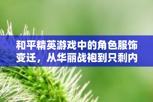 和平精英游戏中的角色服饰变迁，从华丽战袍到只剩内衣的背后故事