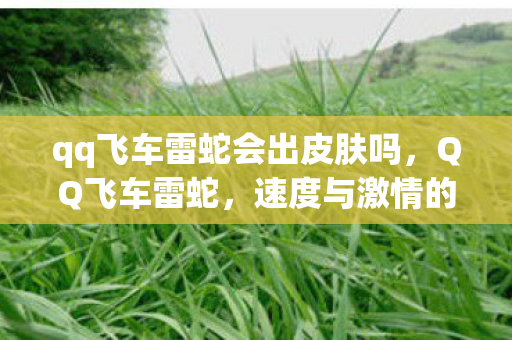 qq飞车雷蛇会出皮肤吗，QQ飞车雷蛇，速度与激情的完美融合