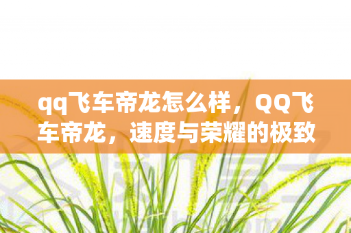 qq飞车帝龙怎么样,QQ飞车帝龙,速度与荣耀的极致追求 qq飞车帝龙怎么样,QQ飞车帝龙,速度与荣耀的极致追求