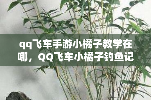 qq飞车手游小橘子教学在哪，QQ飞车小橘子钓鱼记，一场别开生面的游戏冒险之旅