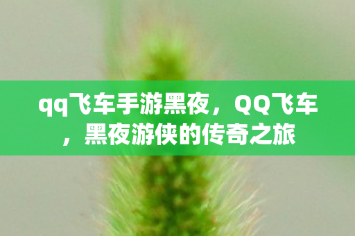 qq飞车手游黑夜,QQ飞车,黑夜游侠的传奇之旅 qq飞车手游黑夜,QQ飞车,黑夜游侠的传奇之旅