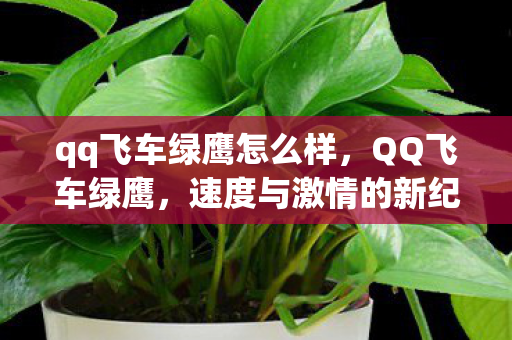 qq飞车绿鹰怎么样,QQ飞车绿鹰,速度与激情的新纪元 qq飞车绿鹰怎么样,QQ飞车绿鹰,速度与激情的新纪元