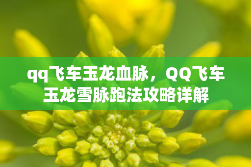 qq飞车玉龙血脉,QQ飞车玉龙雪脉跑法攻略详解 qq飞车玉龙血脉,QQ飞车玉龙雪脉跑法攻略详解