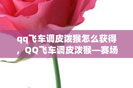 qq飞车调皮泼猴怎么获得,QQ飞车调皮泼猴—赛场上的速度与激情 qq飞车调皮泼猴怎么获得,QQ飞车调皮泼猴—赛场上的速度与激情