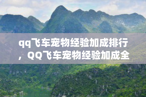 qq飞车宠物经验加成排行,QQ飞车宠物经验加成全面解析 qq飞车宠物经验加成排行,QQ飞车宠物经验加成全面解析