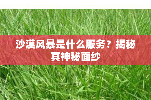 沙漠风暴是什么服务？揭秘其神秘面纱