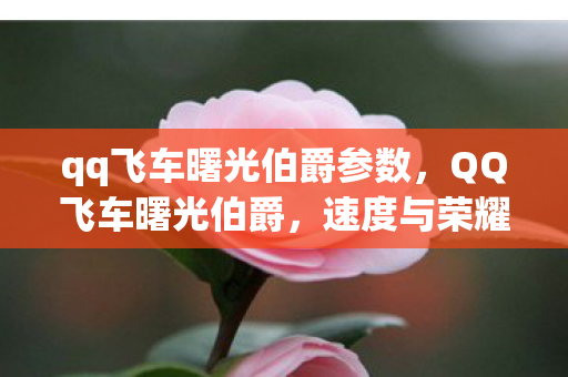 qq飞车曙光伯爵参数,QQ飞车曙光伯爵,速度与荣耀的完美结合 qq飞车曙光伯爵参数,QQ飞车曙光伯爵,速度与荣耀的完美结合