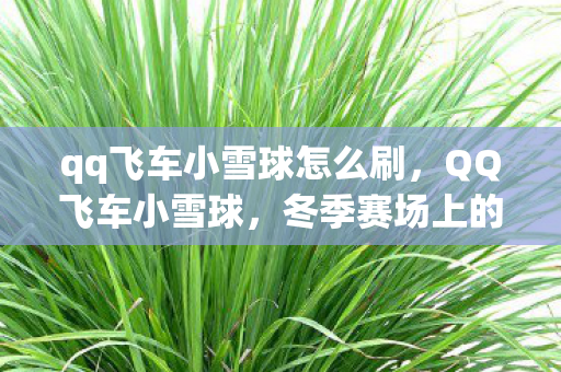 qq飞车小雪球怎么刷,QQ飞车小雪球,冬季赛场上的雪球奇迹 qq飞车小雪球怎么刷,QQ飞车小雪球,冬季赛场上的雪球奇迹