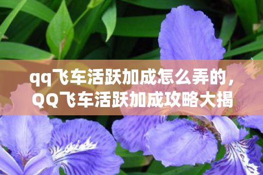 qq飞车活跃加成怎么弄的，QQ飞车活跃加成攻略大揭秘