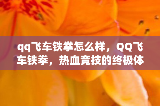qq飞车铁拳怎么样，QQ飞车铁拳，热血竞技的终极体验