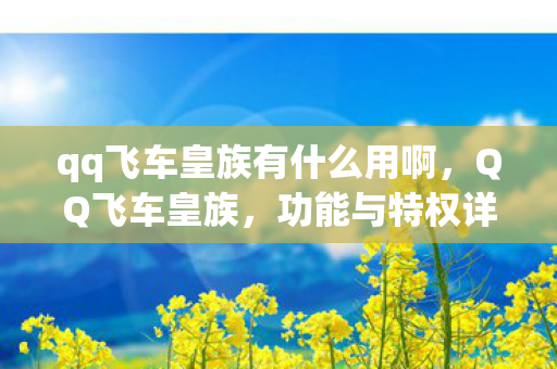 qq飞车皇族有什么用啊,QQ飞车皇族,功能与特权详解 qq飞车皇族有什么用啊,QQ飞车皇族,功能与特权详解