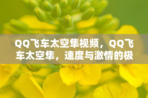 QQ飞车太空隼视频,QQ飞车太空隼,速度与激情的极致体验 QQ飞车太空隼视频,QQ飞车太空隼,速度与激情的极致体验