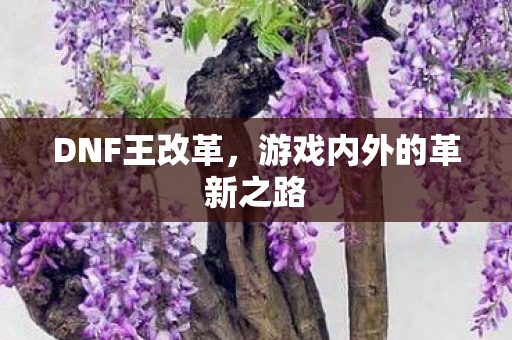 DNF王改革，游戏内外的革新之路