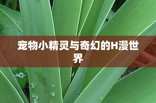 宠物小精灵与奇幻的H漫世界