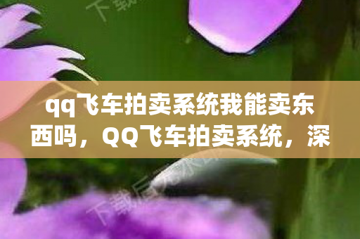 qq飞车拍卖系统我能卖东西吗,QQ飞车拍卖系统,深度解析与玩家指南 qq飞车拍卖系统我能卖东西吗,QQ飞车拍卖系统,深度解析与玩家指南