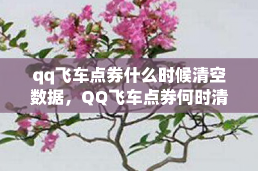 qq飞车点券什么时候清空数据,QQ飞车点券何时清空?一文解读你的疑惑 qq飞车点券什么时候清空数据,QQ飞车点券何时清空?一文解读你的疑惑