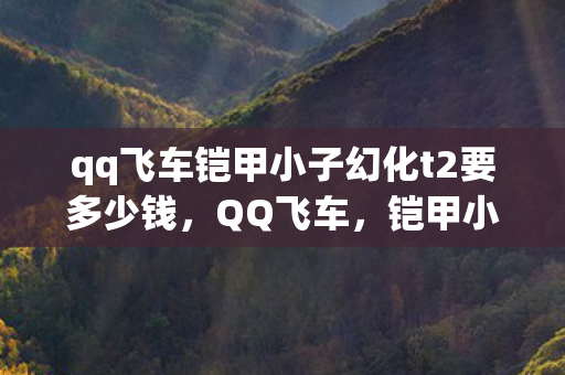 qq飞车铠甲小子幻化t2要多少钱，QQ飞车，铠甲小子的风云再起