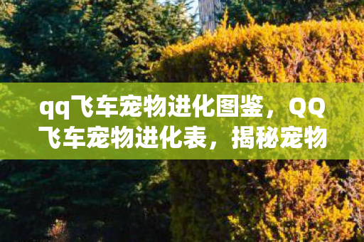 qq飞车宠物进化图鉴,QQ飞车宠物进化表,揭秘宠物成长之路 qq飞车宠物进化图鉴,QQ飞车宠物进化表,揭秘宠物成长之路