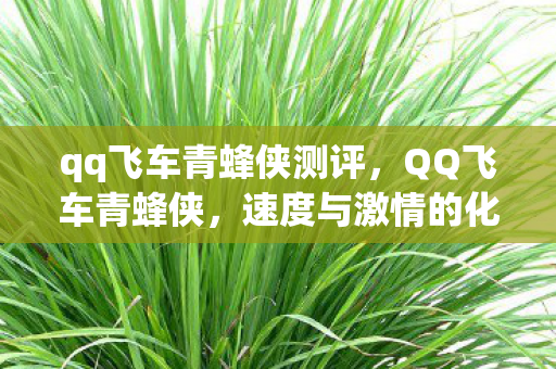 qq飞车青蜂侠测评，QQ飞车青蜂侠，速度与激情的化身