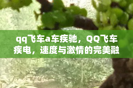 qq飞车a车疾驰，QQ飞车疾电，速度与激情的完美融合