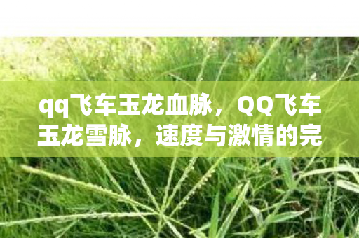 qq飞车玉龙血脉，QQ飞车玉龙雪脉，速度与激情的完美融合