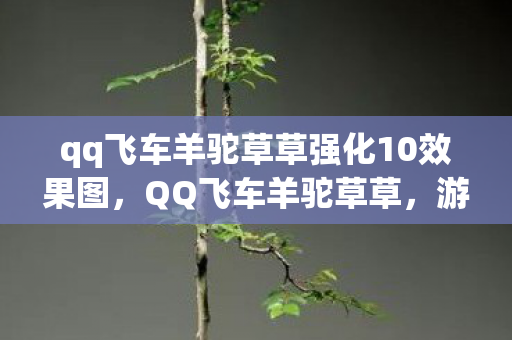 qq飞车羊驼草草强化10效果图，QQ飞车羊驼草草，游戏世界的独特魅力与奇幻之旅