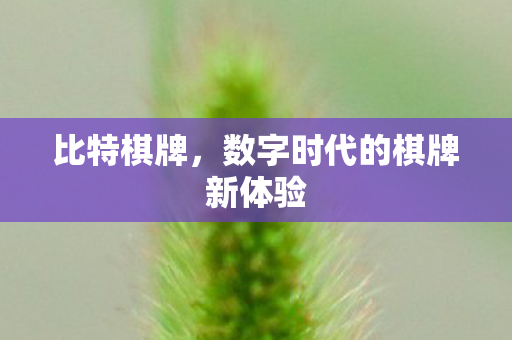 比特棋牌,数字时代的棋牌新体验 比特棋牌,数字时代的棋牌新体验