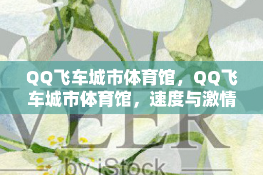 QQ飞车城市体育馆,QQ飞车城市体育馆,速度与激情的绝佳舞台 QQ飞车城市体育馆,QQ飞车城市体育馆,速度与激情的绝佳舞台