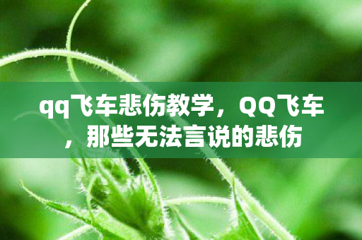 qq飞车悲伤教学，QQ飞车，那些无法言说的悲伤