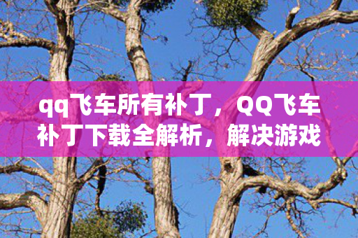 qq飞车所有补丁，QQ飞车补丁下载全解析，解决游戏问题，提升体验质量
