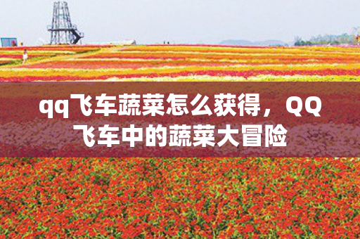qq飞车蔬菜怎么获得,QQ飞车中的蔬菜大冒险 qq飞车蔬菜怎么获得,QQ飞车中的蔬菜大冒险