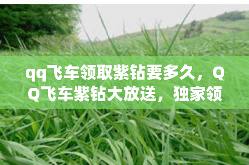 qq飞车领取紫钻要多久，QQ飞车紫钻大放送，独家领取攻略来袭！