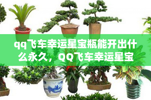 qq飞车幸运星宝瓶能开出什么永久，QQ飞车幸运星宝瓶，揭秘神秘宝藏，探寻无限可能！