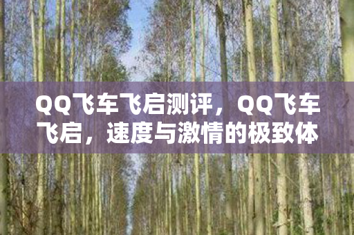 QQ飞车飞启测评,QQ飞车飞启,速度与激情的极致体验 QQ飞车飞启测评,QQ飞车飞启,速度与激情的极致体验