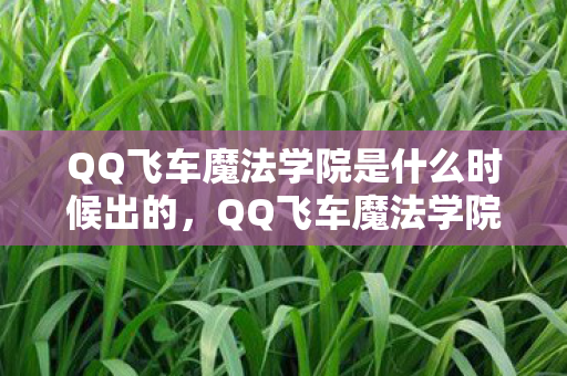 QQ飞车魔法学院是什么时候出的,QQ飞车魔法学院,探索奇幻世界的速度与魔法 QQ飞车魔法学院是什么时候出的,QQ飞车魔法学院,探索奇幻世界的速度与魔法