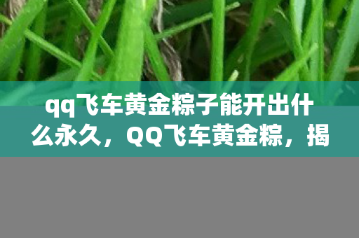 qq飞车黄金粽子能开出什么永久，QQ飞车黄金粽，揭秘神秘道具背后的故事