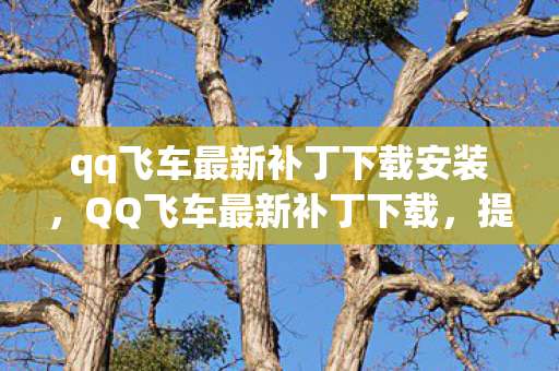qq飞车最新补丁下载安装，QQ飞车最新补丁下载，提升游戏体验的关键步骤