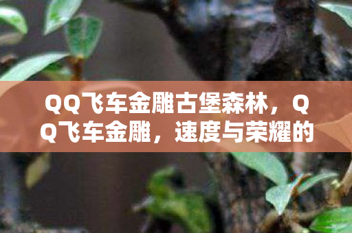 QQ飞车金雕古堡森林，QQ飞车金雕，速度与荣耀的象征