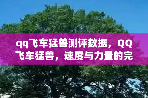 qq飞车猛兽测评数据，QQ飞车猛兽，速度与力量的完美结合