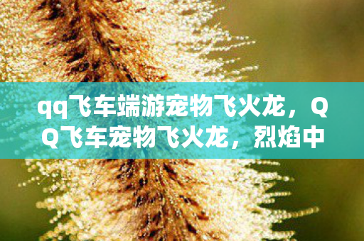 qq飞车端游宠物飞火龙，QQ飞车宠物飞火龙，烈焰中的速度与激情